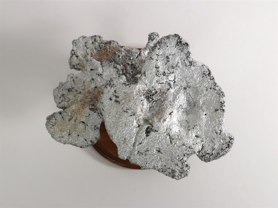 Aluminum Aphaenogaster treatae Ant Colony Cast #066 - Top Picture.
