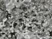 Aluminum Fire Ant Colony Cast - Closeup 3 Picture.