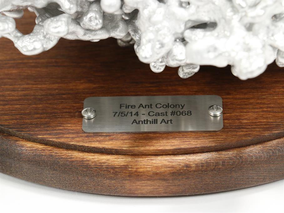 Aluminum Fire Ant Colony Cast #068 - Plaque Picture.