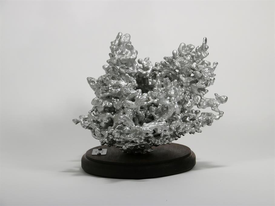 The aluminum fire ant colony cast display from the right