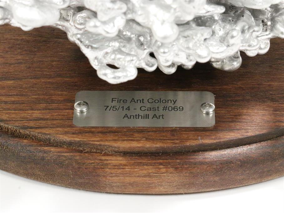 Aluminum Fire Ant Colony Cast #069 - Plaque Picture.