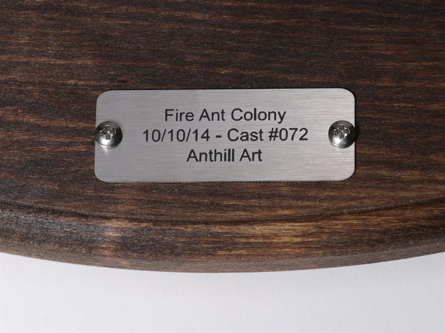Aluminum Fire Ant Colony Cast #072 - Plaque Picture.