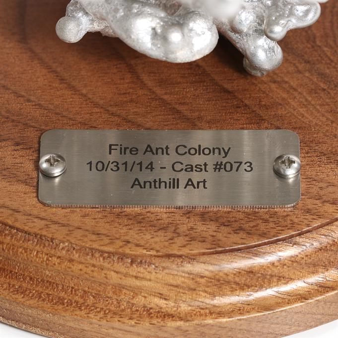 Aluminum Fire Ant Colony Cast #073 - Plaque Picture.