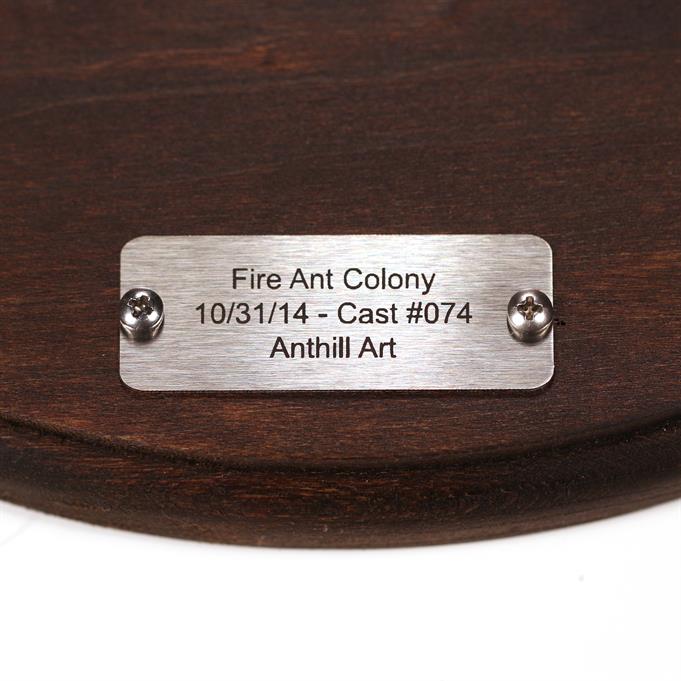 Aluminum Fire Ant Colony Cast #074 - Plaque Picture.