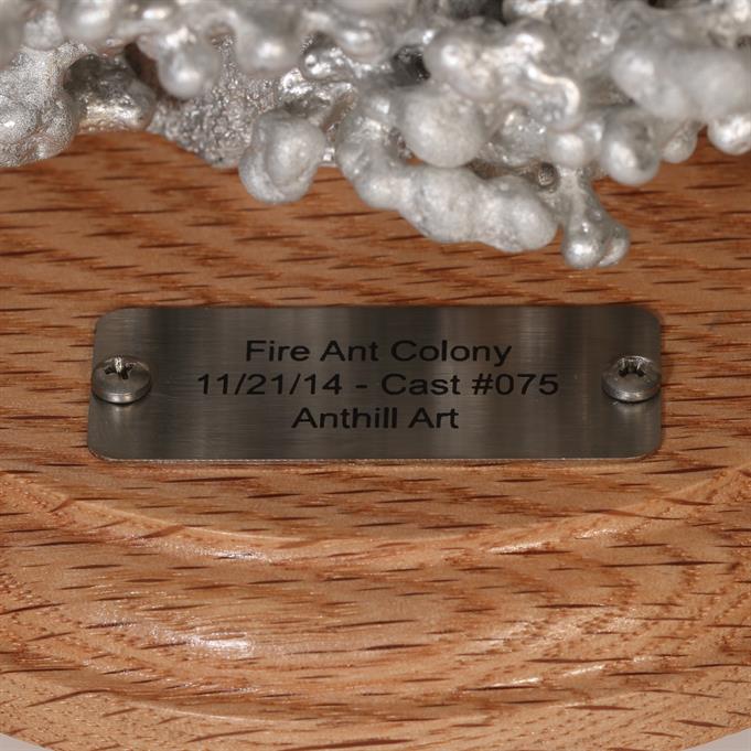 Aluminum Fire Ant Colony Cast #075 - Plaque Picture.