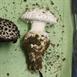 Zinc  Mushroom Cast - Original Mushroom Picture.