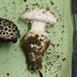 Zinc  Mushroom Cast - Original Mushroom Picture.