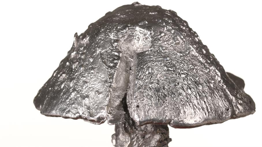 Aluminum Amanita Mushroom Cast #083 - Cap Picture.