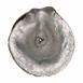 Aluminum Funnel Mushroom Cast - Top Picture.