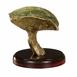 Brass Bolete Mushroom Cast - Left Picture.