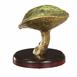 Brass Bolete Mushroom Cast - Right Picture.