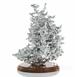 Aluminum Fire Ant Colony Cast - Left Picture.