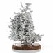 Aluminum Fire Ant Colony Cast - Right Picture.