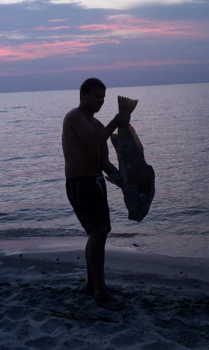 Aluminum Black Drum Fish Skull Cast #102 - Fish Picture.