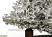 Aluminum Fire Ant Colony Cast - Support 1 Picture.