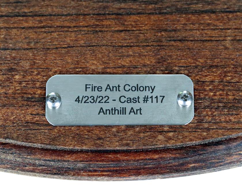 Aluminum Fire Ant Colony Cast #117 - Plaque Picture.