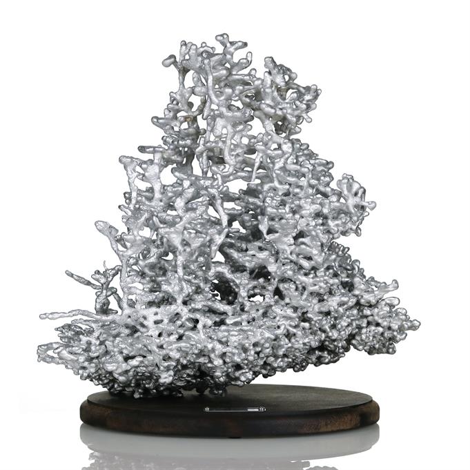 Aluminum Fire Ant Colony Cast #118 - Front Picture.
