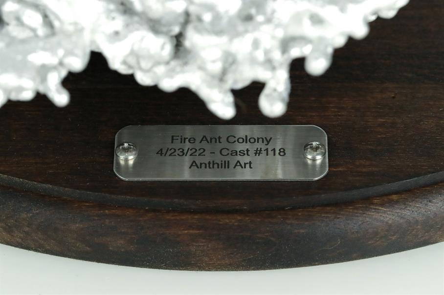 Aluminum Fire Ant Colony Cast #118 - Plaque Picture.