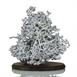 Aluminum Fire Ant Colony Cast - Back Picture.