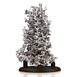 Aluminum Fire Ant Colony Cast - Back Picture.
