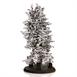 Aluminum Fire Ant Colony Cast - Right Picture.