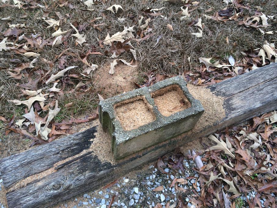 Casual Survey of Three Acres of Land Reveals 120 Fire Ant Colonies - Anthill in a cinder block