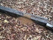 casual survey of three acres of land reveals 120 fire ant colonies - Another railroad tie.