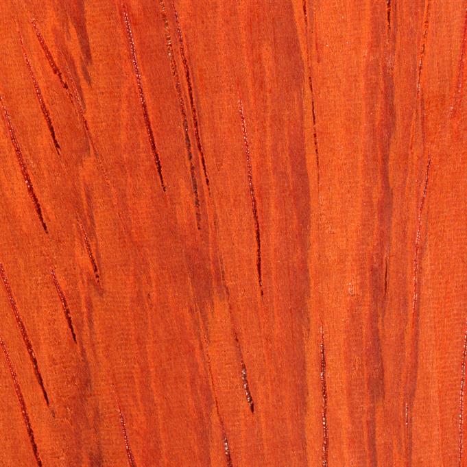 Padauk - 1-inch Section Picture.