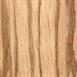 Zebrawood -1-inch Section Picture.